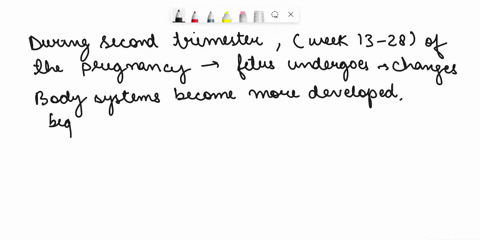 which-of-the-following-correctly-summarizes-the-development-of-the-fetus-during-the-second-trimester-body-functions-reflex-development-and-skin-details-cell-division-and-tissue-specializatio-79234