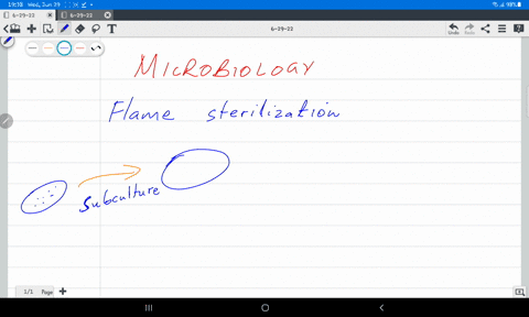which-of-the-following-results-from-sterilizing-a-wire-loop-or-needle-in-a-flame-i-all-life-forms-including-bacteria-and-their-endospores-are-killed-ii-it-glows-a-red-or-orange-color-53674