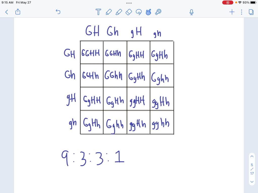 SOLVED: Complete the following dihybrid cross: GgHh x GgHh. Record the  phenotype results below: a. Purple smooth b. Purple wrinkled c. Yellow  smooth d. Yellow wrinkled This ratio should look familiar. It