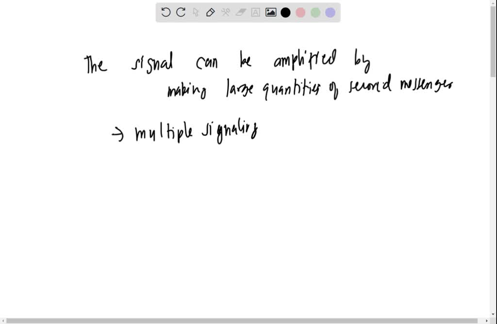 SOLVED: Question 3 5 pts Choose the CORRECT order of signal ...