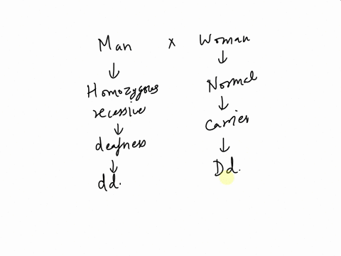 aman-and-a-woman-are-going-to-have-a-baby-and-they-want-to-know-the-probability-that-their-child-will-have-a-certain-type-of-deafness-an-autosomal-recessive-genetic-condition-the-woman-has-n-90693