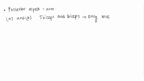 posterior-aspect-of-arm-it-extends-the-forearm-a-triceps-brachii-b-biceps-brachii-c-deltoid-d-sternocleidomastoid-e-brachioradialis-45076