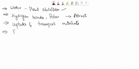 explain-how-the-property-of-water-is-related-to-the-role-of-water-in-plant-nutrition-this-is-all-about-properties-of-liquids-and-intermolecular-forces-58408