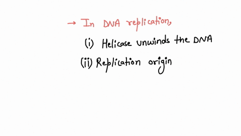 some-processes-involved-in-dna-replication-the-replication-origin-is-identified-dna-primase-builds-rna-primer-okazaki-fragments-are-spliced-by-dna-ligase-helicases-bind-and-uncoil-the-dna-do-15617