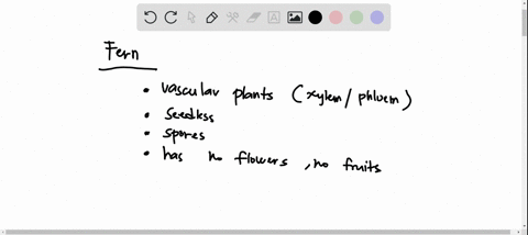 which-features-do-ferns-share-with-all-other-land-plants-a-sporophyte-and-gametophyte-life-cycle-s-3-33903