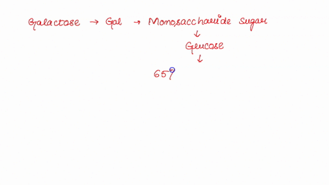 2-all-of-the-following-are-disaccharides-except-select-one-a-galactose-b-lactose-c-maltose-d-sucrose-72189