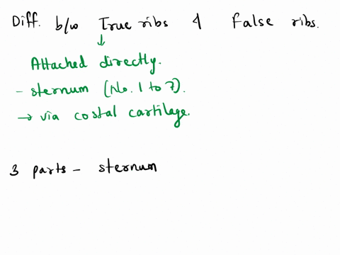 nauou-the-axial-skeleton-dor-7a-name-the-four-parts-of-the-bony-thorax-vertebral-ribs-eathij-ribs-and-false-ribs-distinguish-between-true-name-the-three-parts-of-the-sternum-the-costal-carti-59144