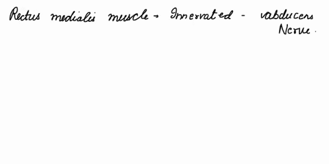 concerning-the-muscles-of-the-orbit-which-statement-is-not-correct-a-levator-palpebrae-superioris-muscle-elevates-the-upper-eyelid-b-rectus-superior-muscle-is-innervated-by-the-oculomotor-ne-93907