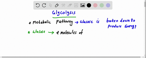 glycolysis-process-occurs-in-which-part-of-the-cell-a-cytoplasm-b-nucleus-c-mitochondria-d-chloroplast-45114