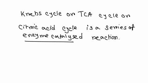 how-many-turns-of-the-krebs-cycle-are-completed-for-each-molecule-of-glucose-that-enters-cellular-respiration-28639