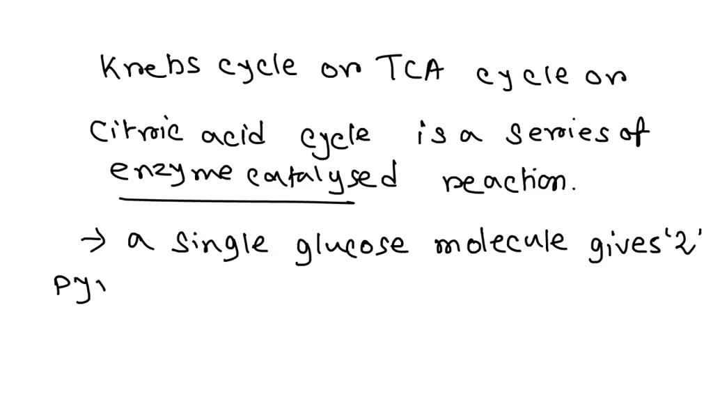 solved-how-many-turns-of-the-krebs-cycle-are-completed-for-each