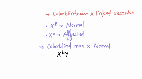 for-example-in-humans-red-green-color-blindness-is-controlled-by-a-gene-on-the-x-chromosome-in-females-normal-color-vision-is-dominant-to-color-blindness-a-convenient-wayto-represen-tegene-i-45197
