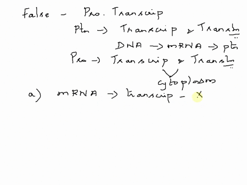 which-of-the-following-is-false-about-transcription-in-prokaryotes-a-translation-of-mrna-can-begin-as-transcription-of-the-same-mrna-piece-is-still-occurring-b-modifications-must-occur-to-th-58477