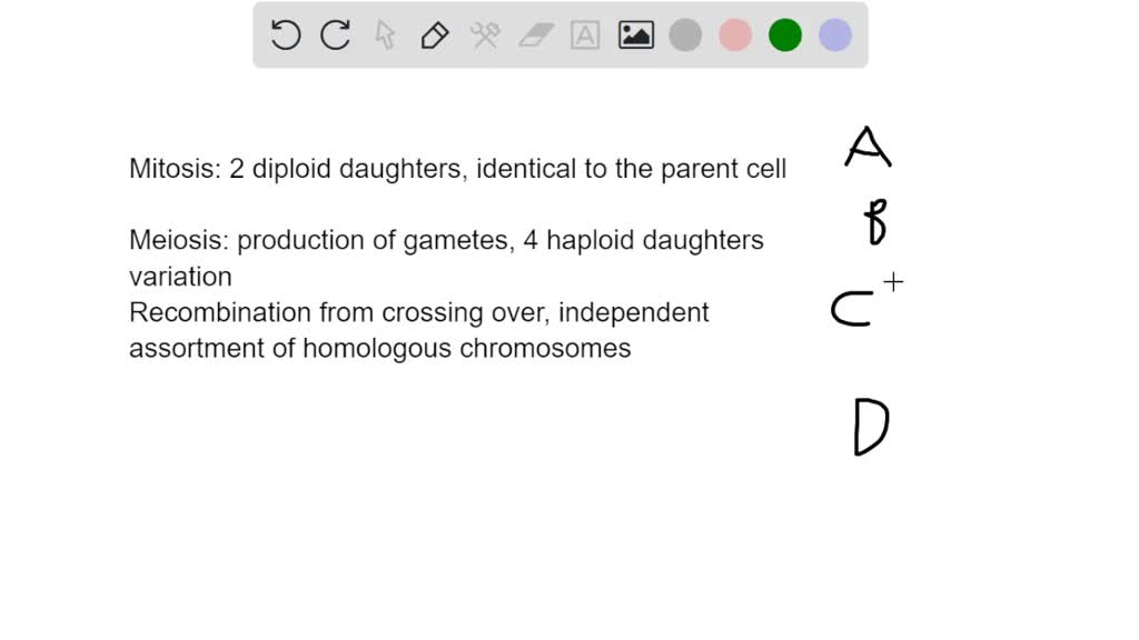 solved-which-statement-best-describes-how-homologous-chromosomes-are