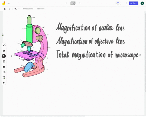 if-you-were-visualising-bacteria-with-a-microscope-fitted-with-a-x10-ocular-lens-what-would-be-the-magnification-when-using-a-x40-objective-lens-4-40-400-04-07214