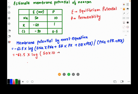 given-the-below-information-estimate-the-membrane-potential-of-the-relevant-neuron-a-approximately-50-mv-b-approximately-60-mv-c-approximately-90-mv-ion-equilibrium-potential-relative-permea-87817