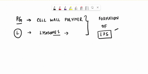 the-peptidoglycan-is-cell-wall-polymer-and-the-enzyme-lysozyme-inhibits-the-formation-of-teichoic-acid-blipopolysaccharide-c-backbone-which-is-composed-of-two-amino-sugars-n-acetyglucosamine-29145