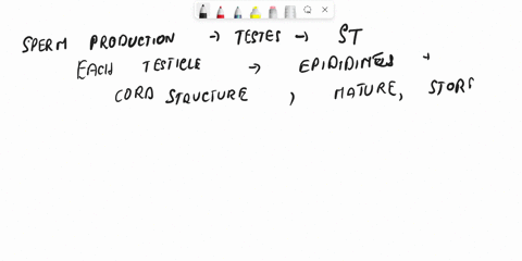 what-is-the-structure-that-serves-as-the-site-of-sperm-production-42293