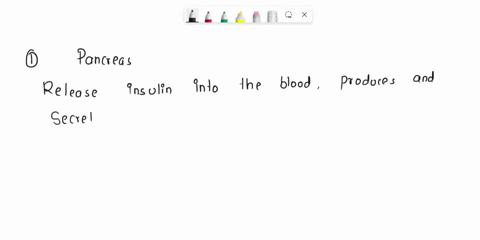 place-the-appropriate-words-and-discription-with-the-correct-highlighted-digestive-accesory-organ-21-ace-the-appropriate-words-and-descriptions-with-the-picture-with-the-correct-highlighted-72514
