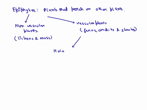 compare-and-contrast-epiphytes-hemiepiphytes-_-vines-and-lianas-77013