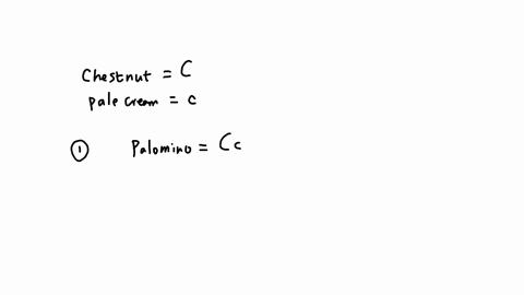 the-basic-body-color-of-horses-is-influenced-by-several-genes-one-of-which-has-several-different-alleles-two-of-these-allelesthe-chestnut-dark-brown-allele-and-a-diluting-pale-cream-allele-d-76311