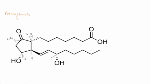 which-functional-group-is-not-contained-in-prostaglandin-e1-2-points-oh-hoi-h-h-h-oh-ndary-jieant-ketone-lkena-cartoxylic-acio-teranjon-38685