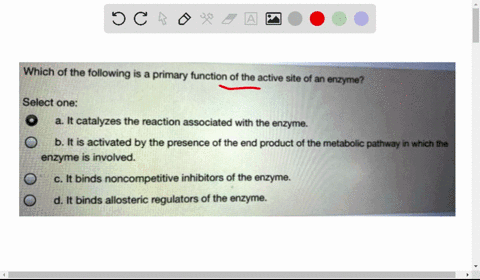 which-of-the-following-is-a-primary-function-of-the-active-site-of-an-enzyme-select-one-it-catalyzes-the-reaction-associated-with-the-enzyme_-b-it-is-activated-by-the-presence-of-the-end-pro-58233