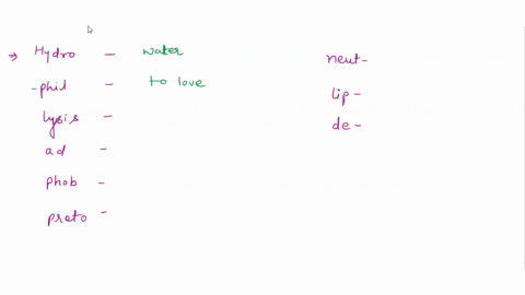 can-you-match-these-prefixes-suffixes-and-word-roots-with-thelr-definitions-reset-help-hydro-water-phil-first-lysis-loosening-split-apart-ad-phob-from-out-of-remove-proto-to-love-neutr-to-fe-14855