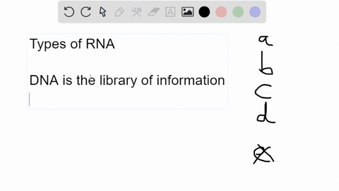 which-statement-about-rna-is-not-true-a-transfer-rna-functions-in-translation-b-ribosomal-rna-functi-09946