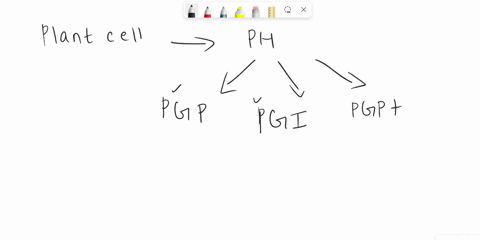 what-are-plant-hormones-a-chemicals-produced-in-low-concentrations-that-transmit-signals-between-cells-b-chemicals-produced-in-high-concentrations-that-transmit-signals-between-cells-c-a-gro-77689