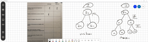 complete-the-following-table-to-compare-mitosis-and-meiosis-table-cant-copy