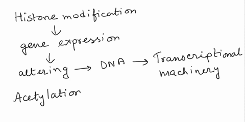 i-am-wondering-if-anyone-could-help-me-further-explain-how-histone-modification-affect-gene-expression-and-what-is-the-difference-between-histone-modifications-and-dna-methylation-if-possibl-84077