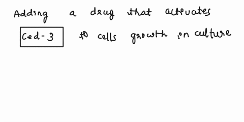 you-discover-a-drug-that-activates-ced-3-caspase-what-would-be-four-consequences-of-adding-this-drug-to-cells-growing-in-culture-99874