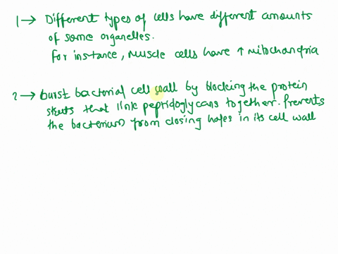 what-type-of-cells-in-human-body-contain-large-amounts-of-organelles-how-does-penicillin-kill-bacteria-29652