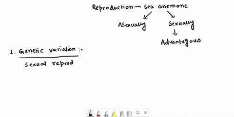 sea-anemones-can-reproduce-sexually-or-asexually-what-would-be-the-most-likely-advantage-a-sea-anemone-would-have-to-reproduce-sexually-over-reproducing-asexually-88857
