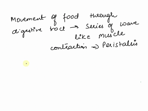 movement-of-food-through-the-digestive-tract-results-from-the-action-of-select-one-a-cardiac-muscle-b-smooth-muscle-c-skeletal-muscle-d-undifferentiated-muscle-e-voluntary-muscle-32107