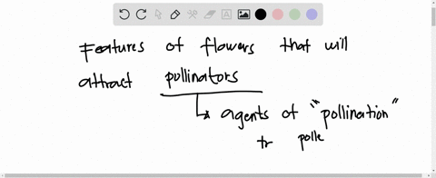 which-of-the-following-features-of-an-angiosperm-flower-isare-responsible-for-attracting-pollinators-select-all-that-apply-nectar-shape-fruit-color-seed-size-size-color-scent-02592