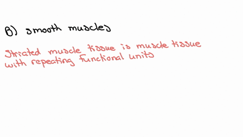 of-the-following-muscle-types-which-one-does-not-have-striations-a-skeletal-muscle-b-smooth-muscle-c-cardiac-muscle-d-all-of-them
