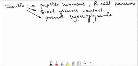 question-32-1-point-all-the-following-are-characteristics-of-insulin-except-a-stimulates-gluconeogenesis-b-stimulates-lipogenesis-increases-the-number-of-glut4-s-moved-to-cell-membrane-in-fa-38212
