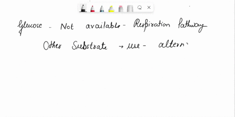 based-on-the-cytosol-and-mitochondria-distinguish-between-anaerobic-glycolysis-and-respiration-based-final-products-lactic-acid-and-carbon-dioxide-describe-two-other-substrates-for-cellular-34705