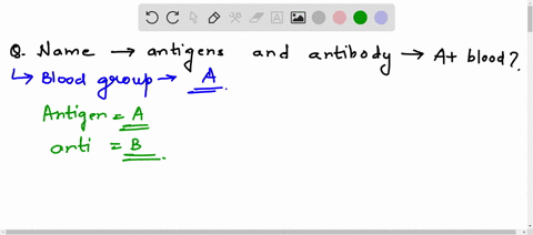 name-any-antigens-and-antibodies-present-in-type-a-blood-27977