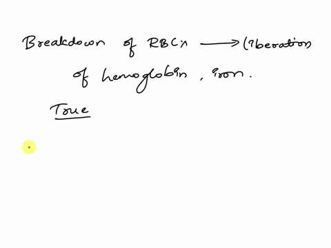 which-of-these-statements-regarding-hemoglobin-breakdown-are-true-and-which-are-false-1-pts-true-false-bilirubin-is-excreted-through-the-kidneys-digestive-enzymes-convert-bilirubin-to-urobil-15184