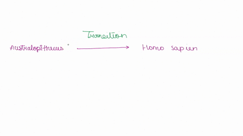 describe-the-pattern-of-development-from-one-hominid-to-the-next-from-australopithecines-through-modern-humans-be-sure-to-include-both-anatomy-and-where-possible-to-know-behaviors-and-techno-95355