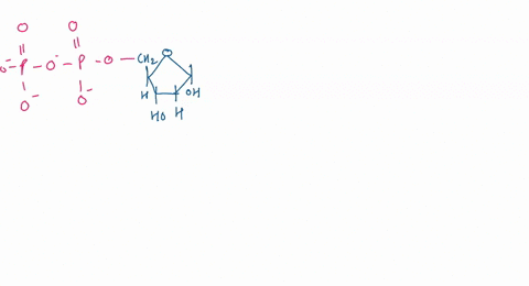 draw-and-label-a-dna-with-double-helix-with-the-nucleotides-base-pairing-43088
