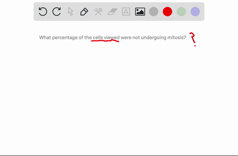 what-percentage-of-the-cells-viewed-were-not-undergoing-mitosis-21999