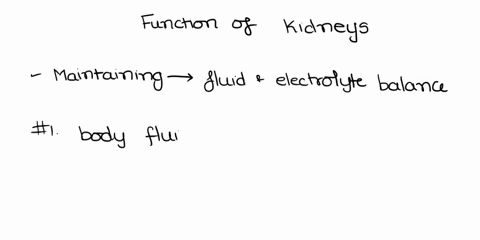8-complete-the-sentences-describing-the-functions-of-the-kidneys-vitamin-vitamin-d-aldosterone-urine-thrombopoietin-erythropoietin-renin-blood-the-kidneys-function-to-maintain-normal-body-il-25625