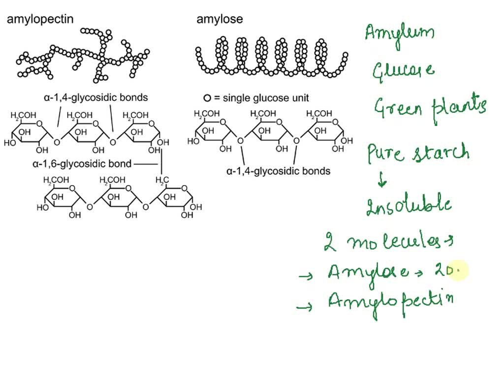 solved-polyvinyl-chloride-pvc-is-composed-of-the-vinyl-chloride