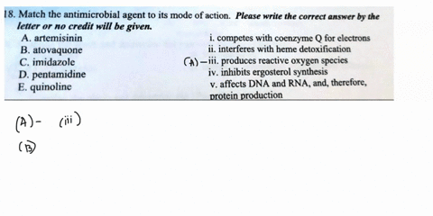 aatch-the-antimicrobial-agent-t0-its-mode-of-action-please-letter-or-no-credit-will-be-given-write-the-correct-answer-by-the-a-bacitracin-b-inhibits-cell-wall-synthesis-diarylquinoline-ii-in-32864