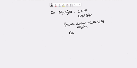 question-5-use-the-following-list-of-the-steps-0f-cellular-respiration-to-answer-this-question-glycolysis-2_-the-intermediate-step-3-krebs-cycle-oxidative-phosphorylation-which-stage-makes-t-56973