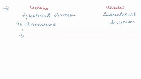 why-is-it-important-that-mitosis-result-in-daughter-cells-that-contain-exact-copies-of-the-original-cells-46-chromosomes-why-is-it-important-that-meiosis-result-in-daughter-cells-that-have-h-47102